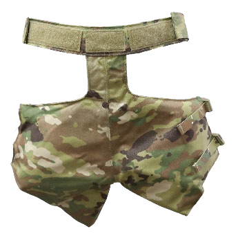 back view of the BPP